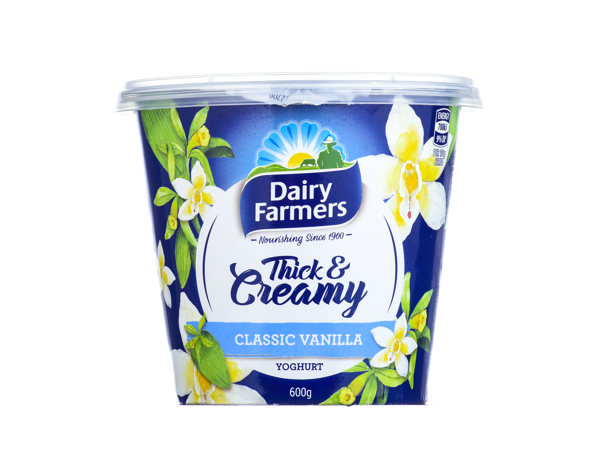 Dairy Farmers Thick & Creamy Vanilla Yogurt | myaeon2go
