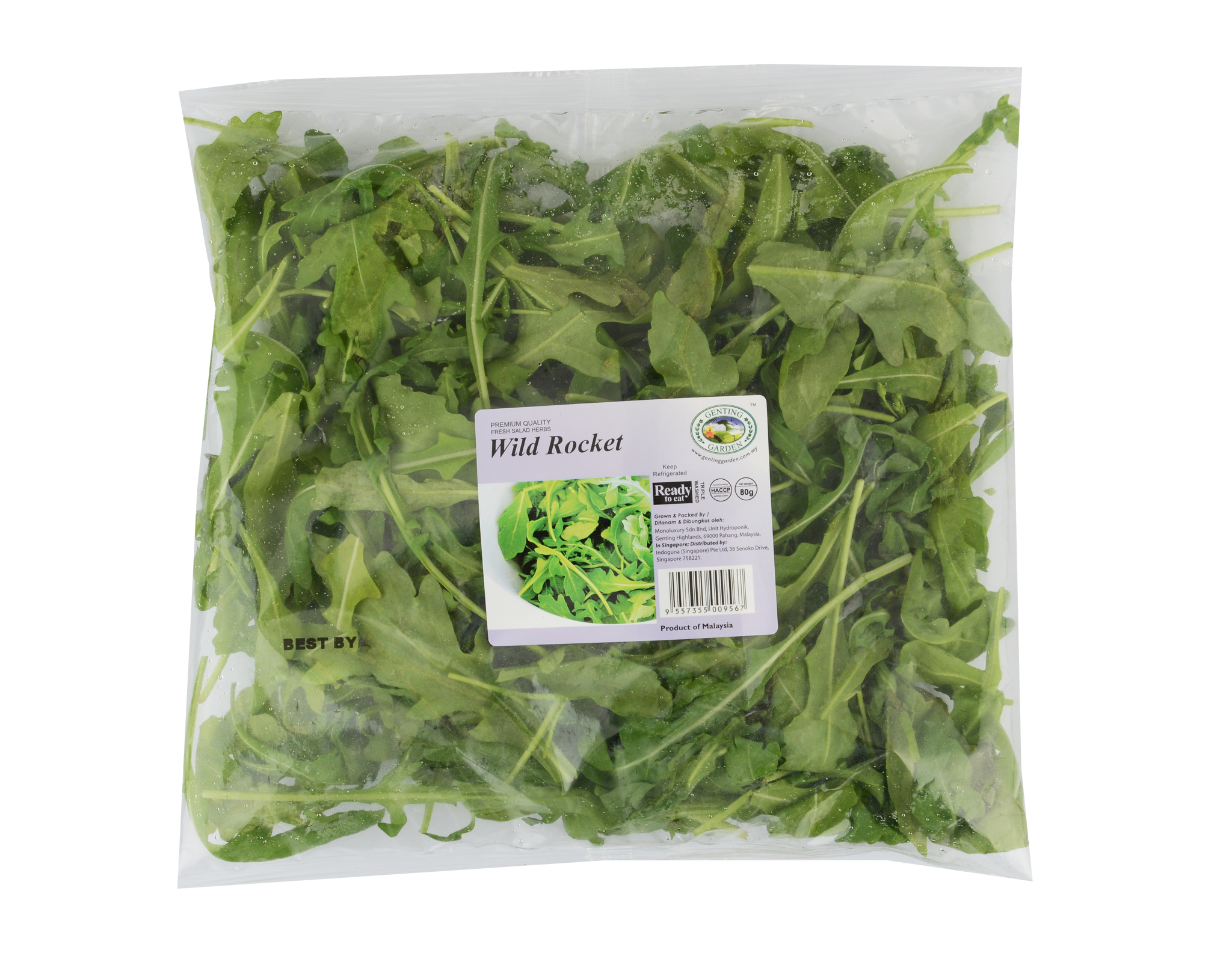 Herb Wild Rocket Rte 