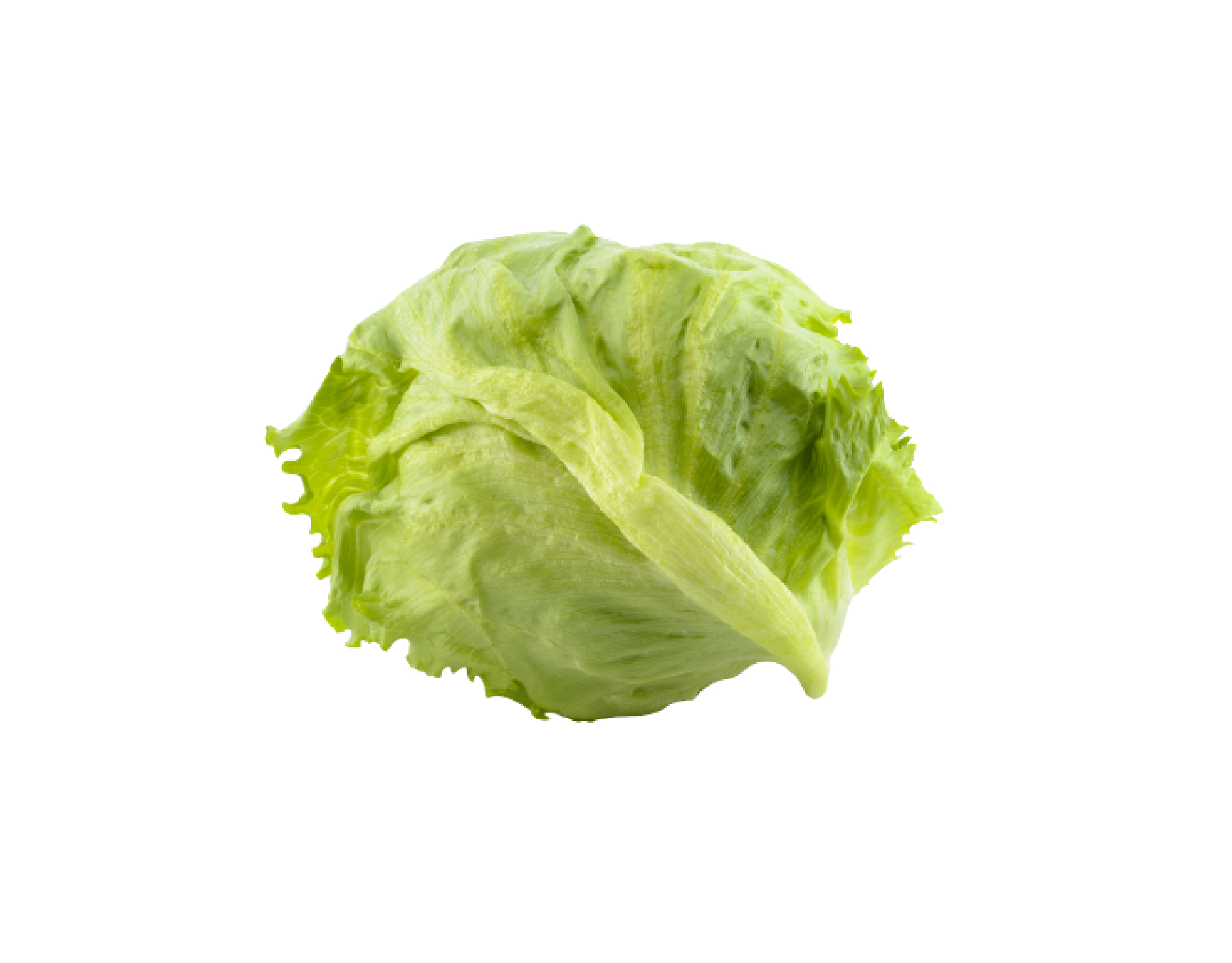 Cameron Iceberg Lettuce myaeon2go