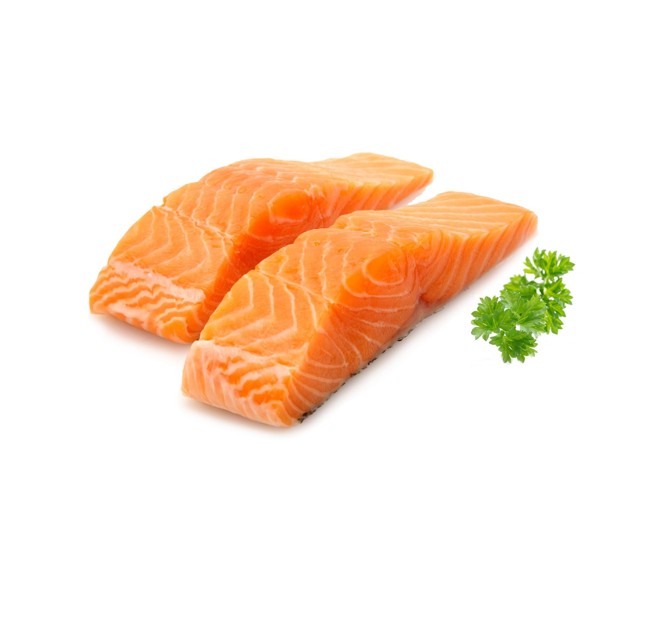 Fresh Norwegian Fjord Trout Fish Fillet Fresh Norwegian Fjord Trout ...