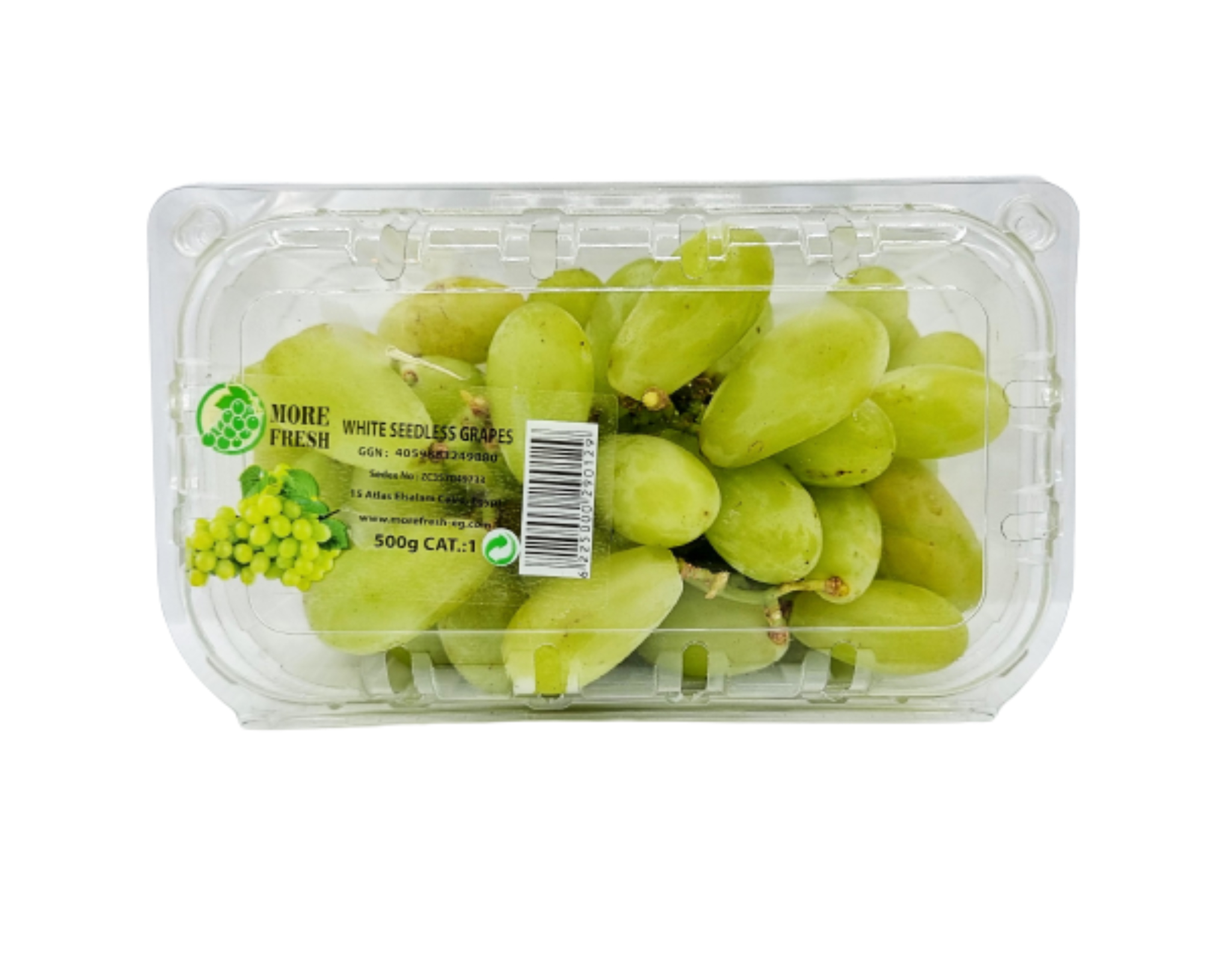 Egypt Arra 15 White Seedless Grapes Egypt Arra 15 White Seedless Grapes