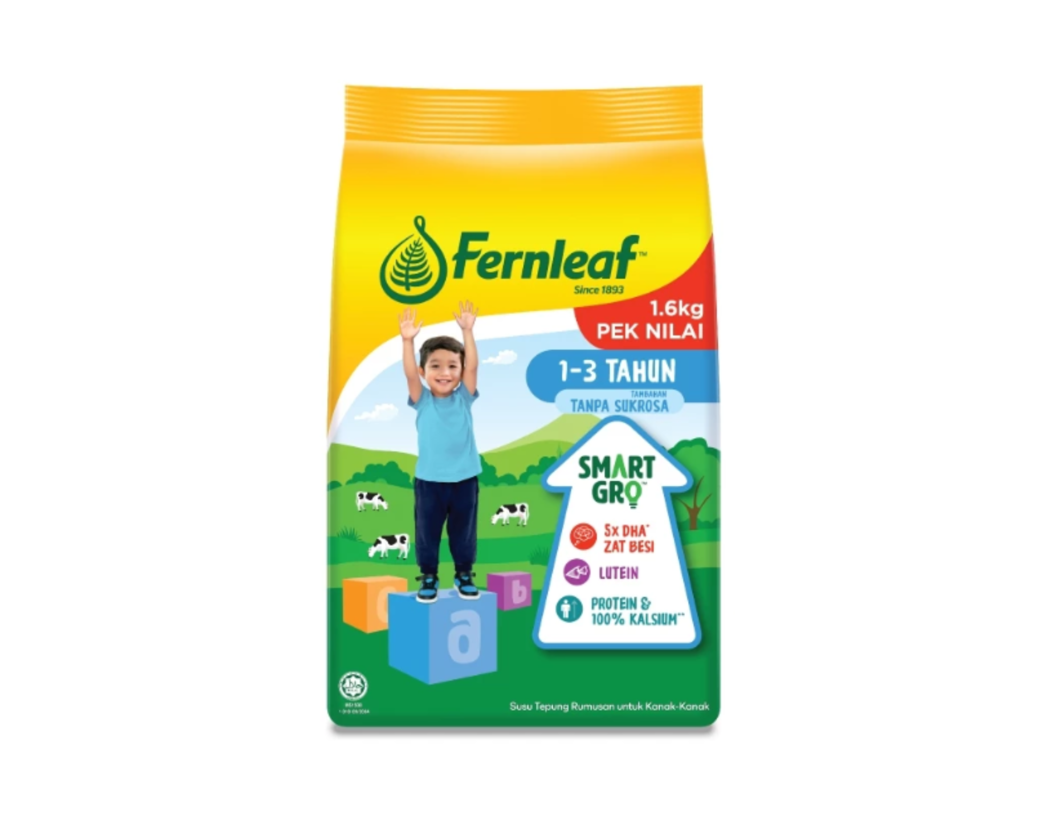 Fernleaf Step 1+ Plain Milk Powder