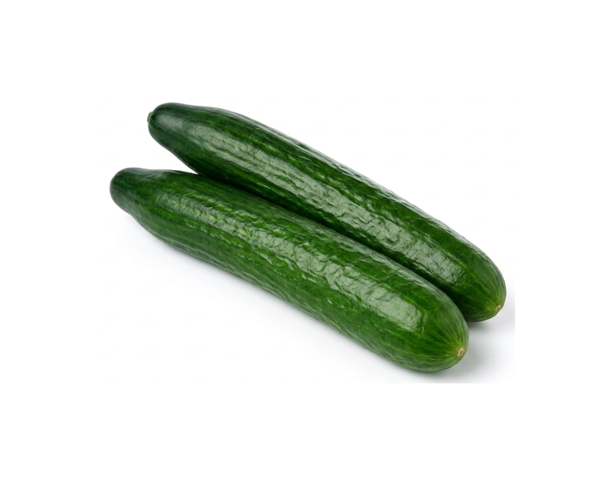Segar2go Japanese Cucumber 2pcs