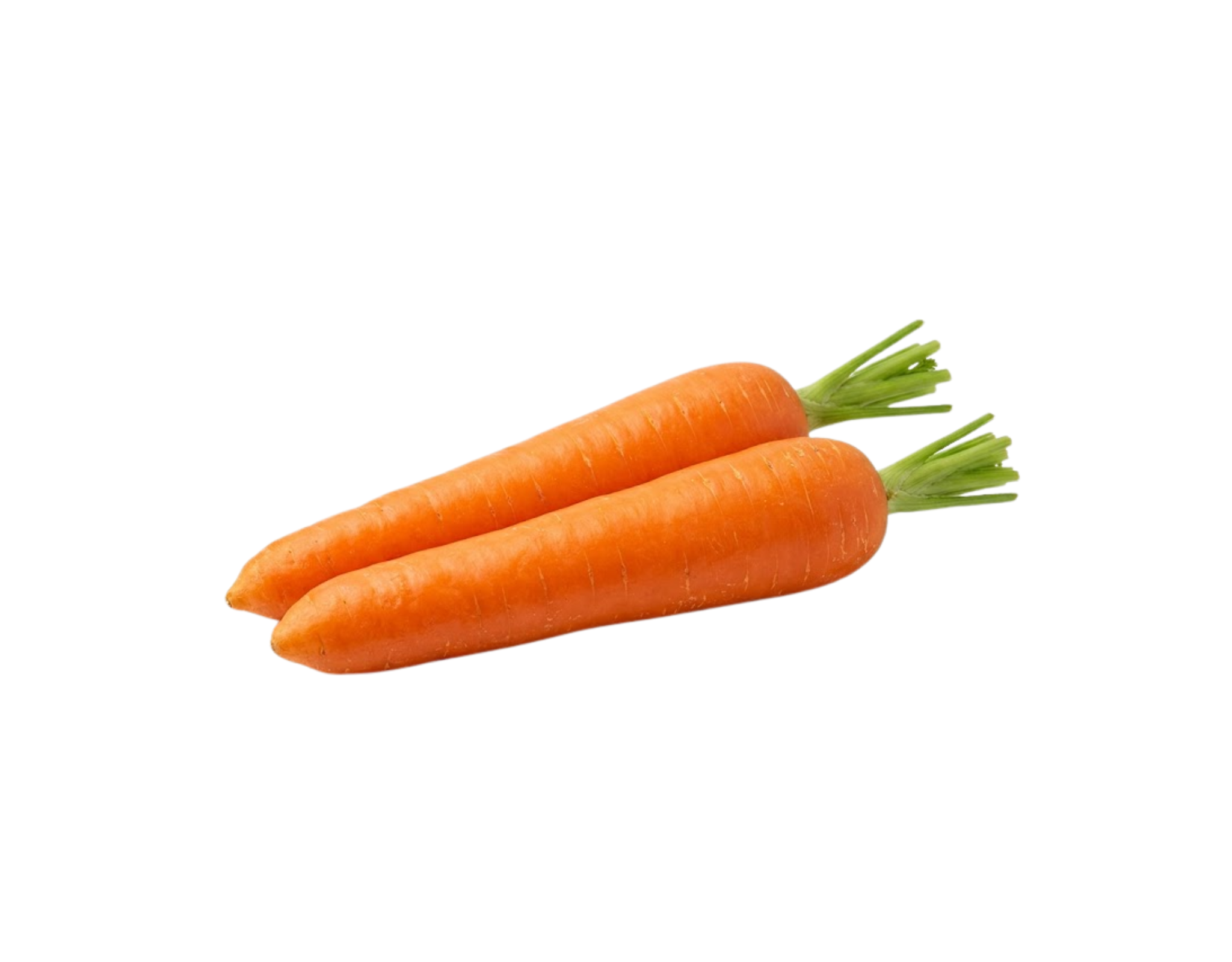 Australia Carrot